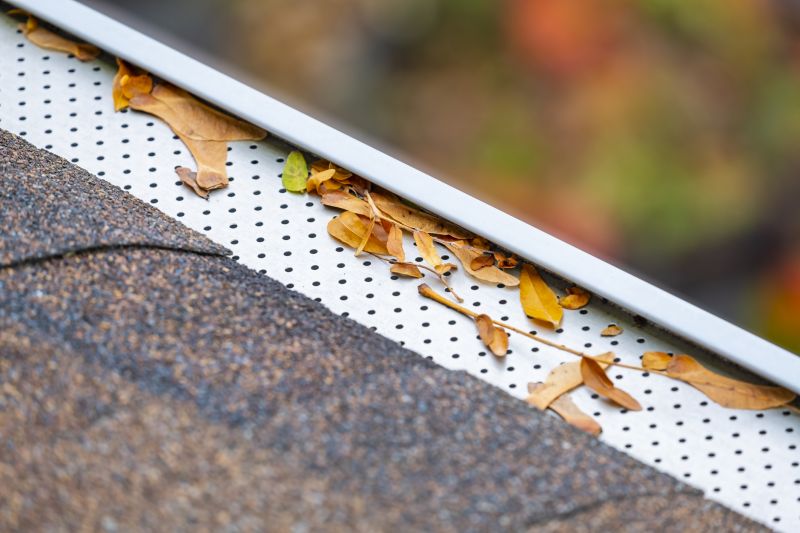 Maintenance-Free Gutter Protection